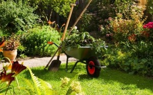 jardin