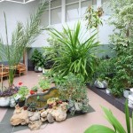 plantes