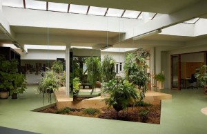 indor design